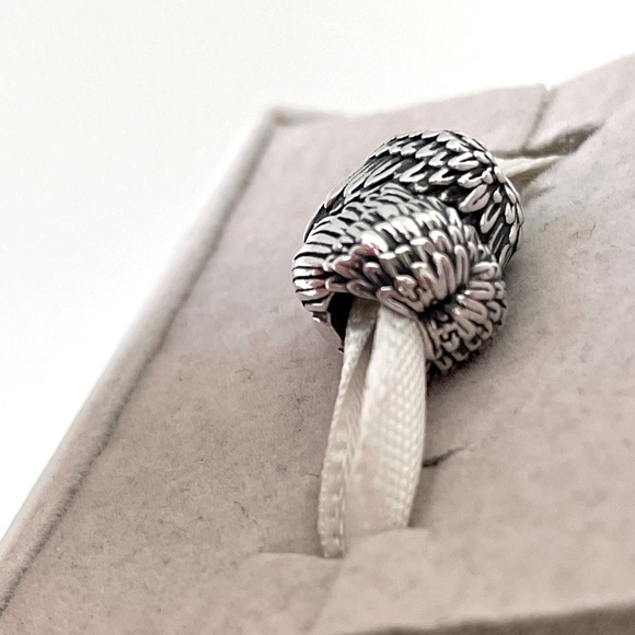 Pandora Angelic Feathers Charm - Picture 3 of 4